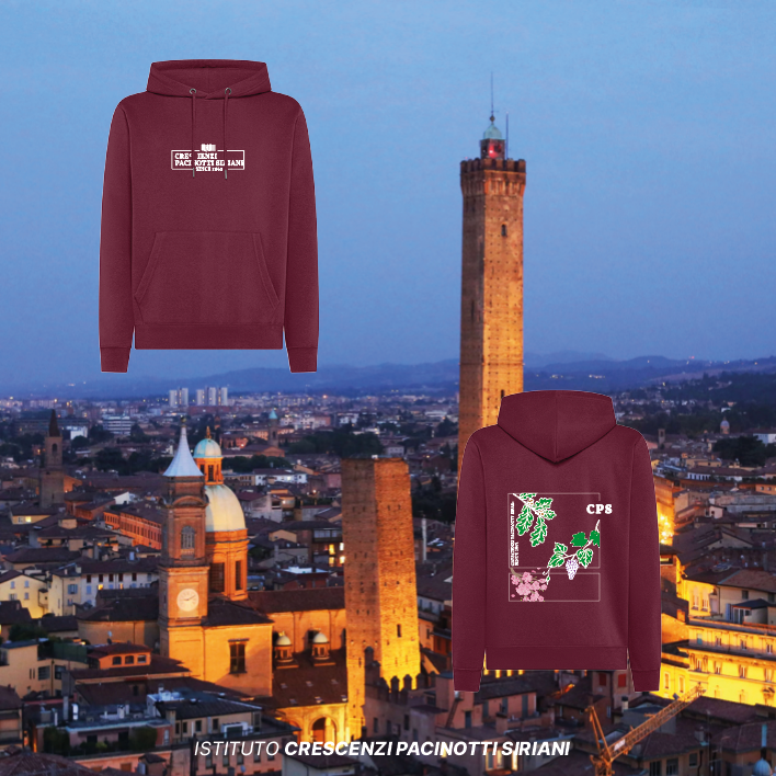 Felpa Cappuccio Ciliegio - Istituto Crescenzi Pacinotti Siriani