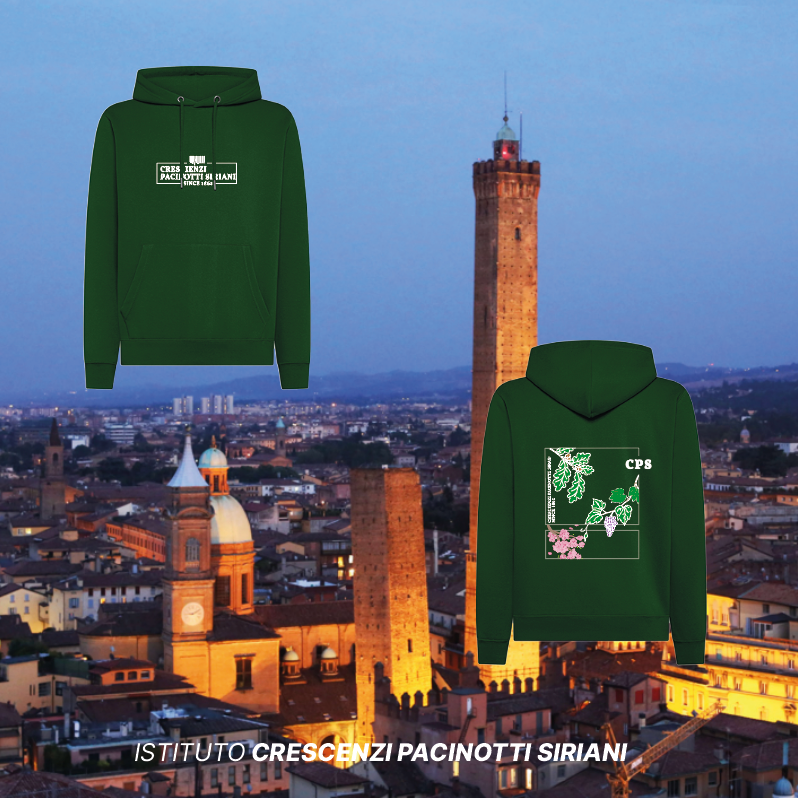 Felpa Cappuccio Ciliegio - Istituto Crescenzi Pacinotti Siriani