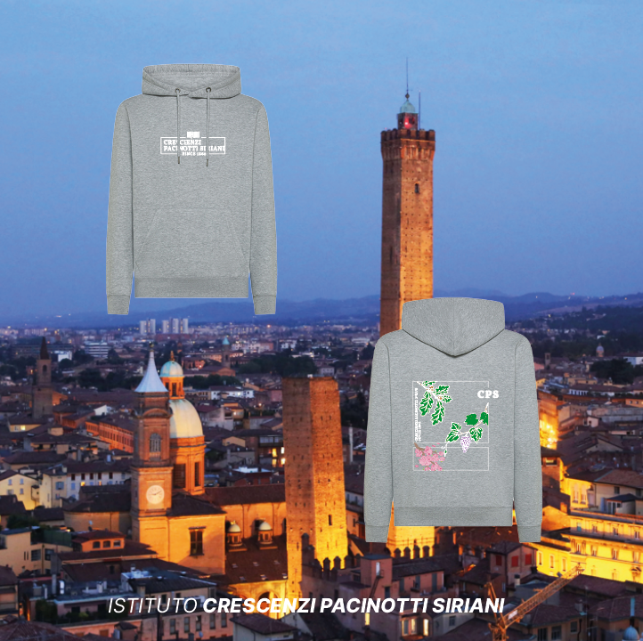 Felpa Cappuccio Ciliegio - Istituto Crescenzi Pacinotti Siriani