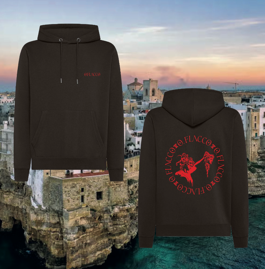 Felpa cappuccio - flacco bari